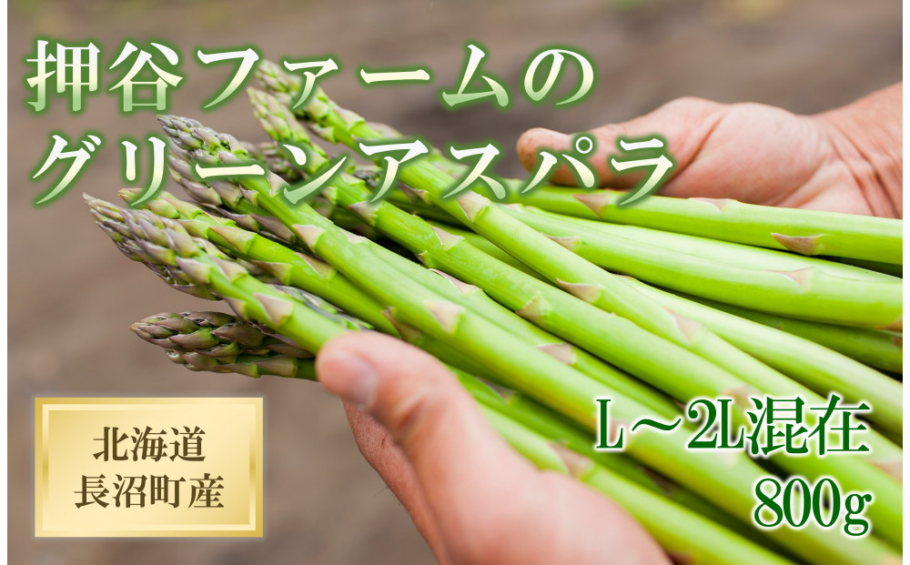 【先行予約】北海道長沼町産・押谷ファームのグリーンアスパラ（L～2L混在&nbsp;800g）2026年5月中旬発送開始予定