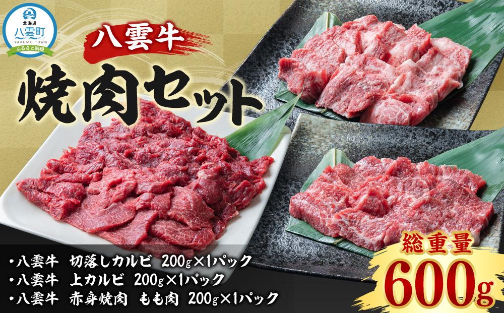 八雲牛 焼肉セット 総重量600g 【 牛肉 肉 北海道 八雲町 年内発送 年内配送  】