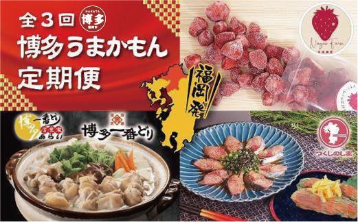 博多うまかもん３回定期便 あまおう1.5kg・水炊き2～3人前・ごま鯖2パック・明太子180g