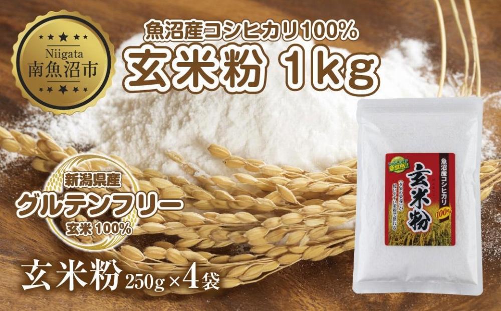 玄米粉 250g×4袋 計1kg 魚沼産 コシヒカリ 玄米 白米粉 グルテンフリー 小麦不使用 GABA アレルギー お取り寄せ パン ケーキ 菓子 ギフト 送料無料 コパフーズ 新潟県 南魚沼市