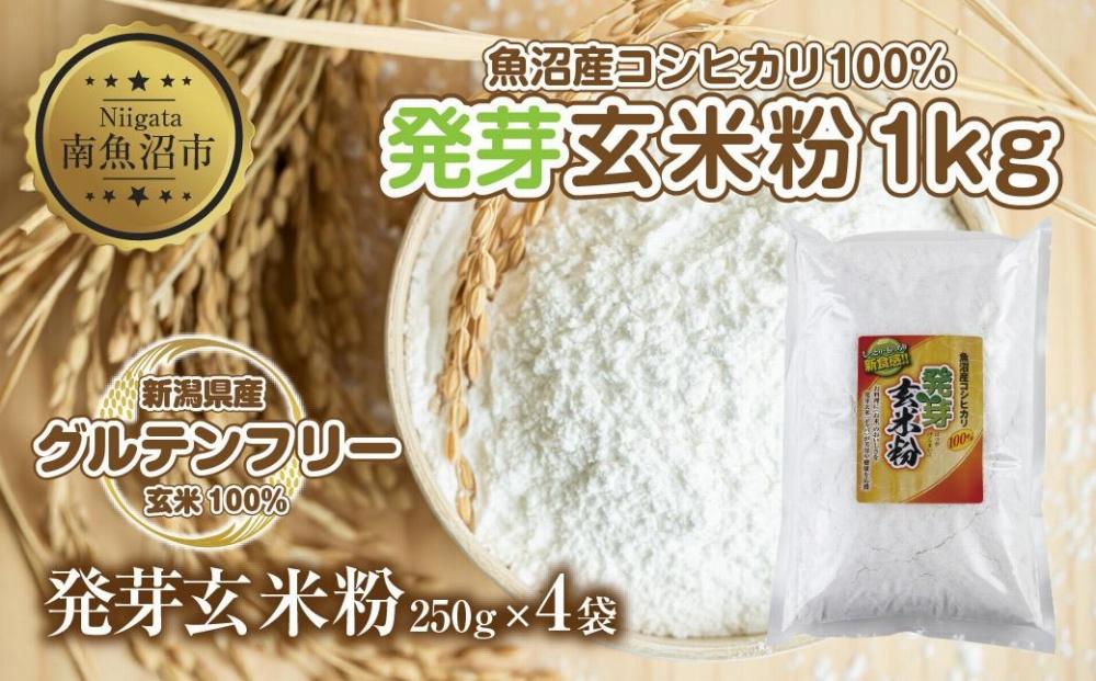 魚沼産 コシヒカリ 発芽玄米粉 250g×4袋 計1kg  玄米  グルテンフリー 小麦不使用 アレルギー GABA お取り寄せ 菓子 パン ケーキ ギフト 送料無料 コパフーズ 新潟県 南魚沼市