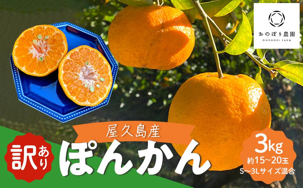 【先行予約】訳あり 家庭用 屋久島産ぽんかん 3kg（S〜3Lサイズ混合・約15〜20玉）