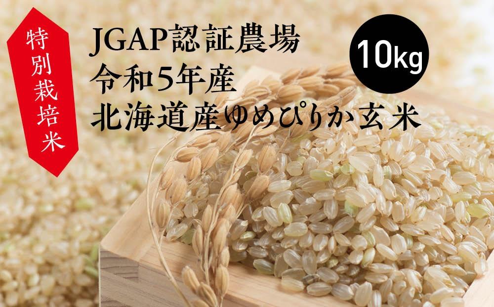 特別栽培米　10kg　JTBのふるさと納税サイト　JGAP認証農場　令和5年産北海道産ゆめぴりか玄米　[ふるぽ]