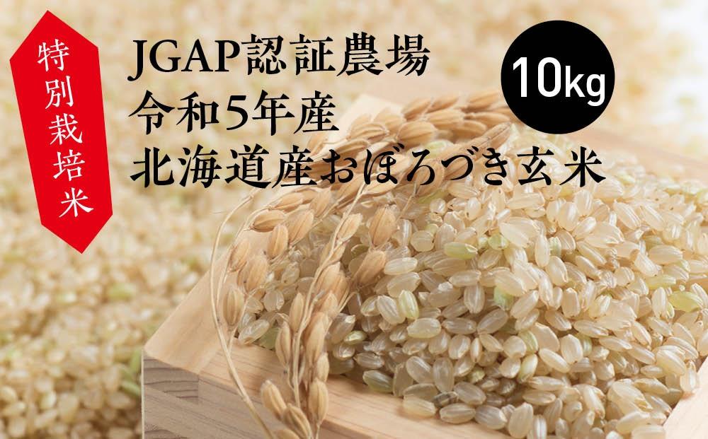 特別栽培米　JTBのふるさと納税サイト　JGAP認証農場　令和5年産北海道産おぼろづき玄米　10kg　[ふるぽ]