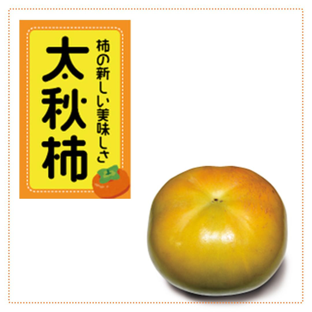 ＜先行受付＞太秋柿　約4.5kg【2025年9月下旬以降順次発送】