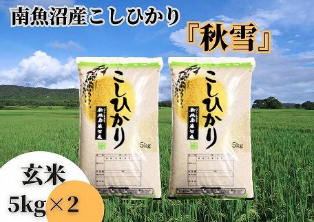 【令和5年産 新米 全3回定期便】南魚沼産コシヒカリ「秋雪」玄米10kg（5kg×2袋）×3回  新潟県の特A地区南魚沼市の美味しいお米【2023年10月以降発送】