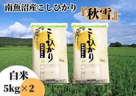 【令和8年産&nbsp;新米予約&nbsp;全１２回定期便】南魚沼産コシヒカリ「秋雪」白米10kg（5kg×2袋）×12回&nbsp;新潟県の特A地区南魚沼市の美味しいお米【米&nbsp;お米&nbsp;こしひかり&nbsp;南魚沼&nbsp;米&nbsp;白米&nbsp;こめ&nbsp;新潟&nbsp;米】【2026年10月上旬より1ヶ月以内に順次発送予定】
