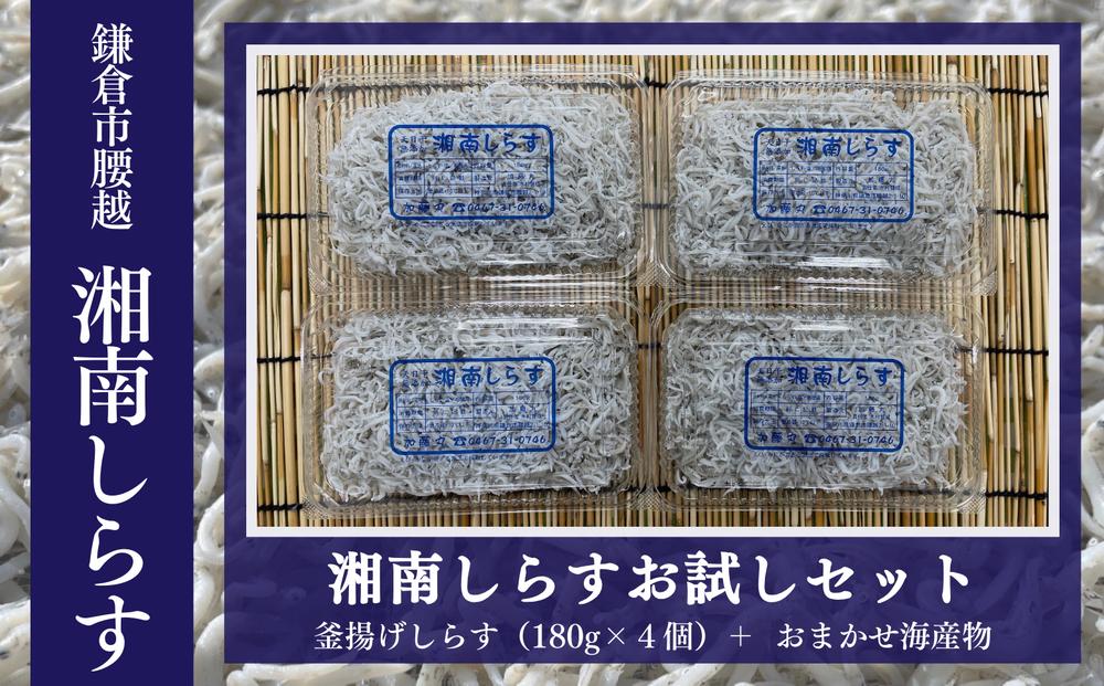 湘南しらすお試しセット（釜揚げしらす180g×4パック、おまかせ海産物）