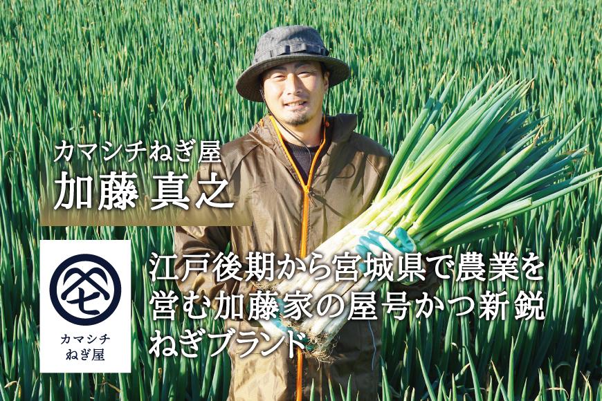 長期在庫品 秋田県能代市産！ 長ネギ 土根付き大容量20キロ | www