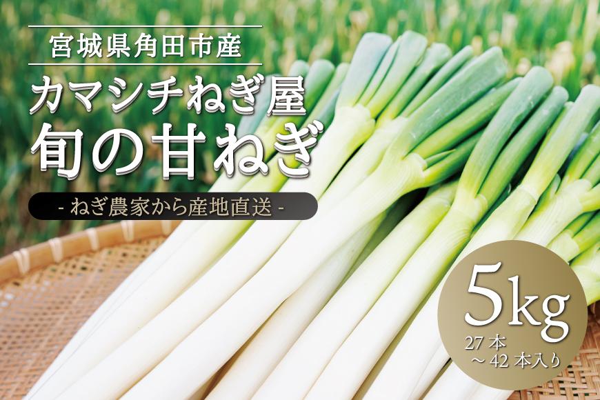 甘ねぎ 5kg（約27本～42本）ネギ 葱 野菜 やさい すき焼き うどん 味噌汁 みそ汁 チャーハン 産地直送 ご当地 人気 おすすめ 新鮮 お取り寄せ 先行予約 旬 宮城 角田