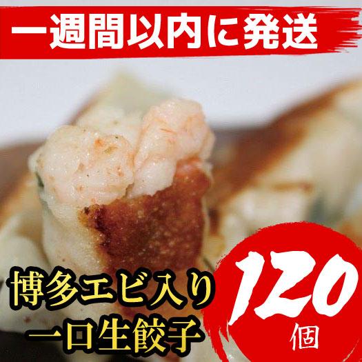 博多エビ入り一口生餃子 120個 小分け便利8パック　創業40年以上福岡老舗会社製造　【1週間以内に発送！】