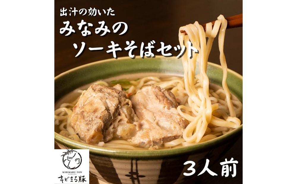 そば 生麺 みなみのソーキそば 【沖縄ブランド豚キビまる豚使用】 3食セット