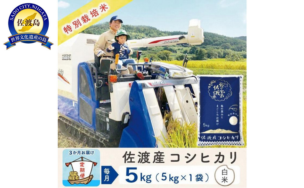 【新米予約&nbsp;3か月定期便】佐渡島産コシヒカリ&nbsp;白米5Kg&nbsp;令和7年&nbsp;特別栽培米&nbsp;農家直送