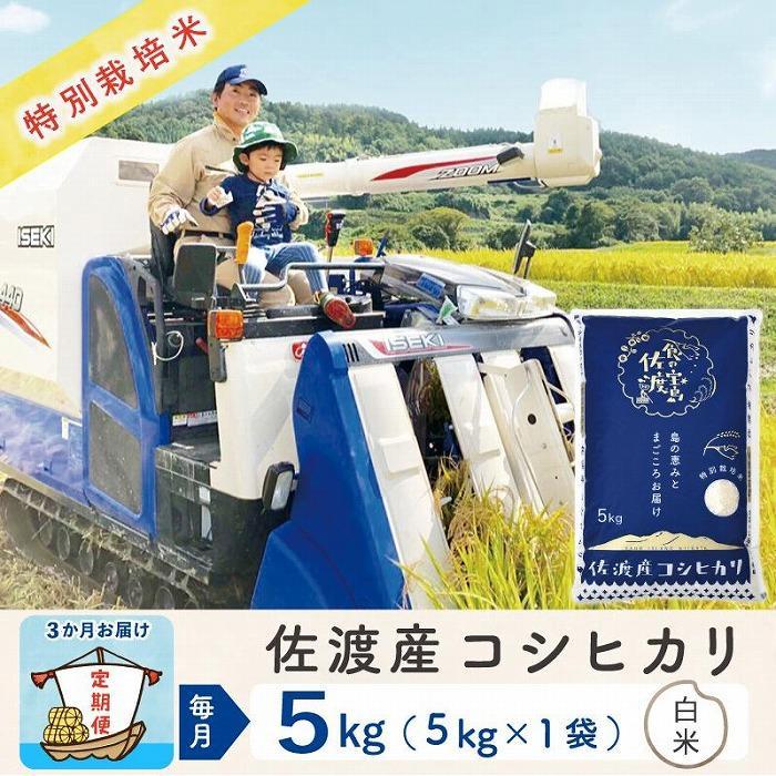 【3か月定期便】佐渡島産コシヒカリ&nbsp;白米5Kg&nbsp;令和7年&nbsp;特別栽培米&nbsp;農家直送