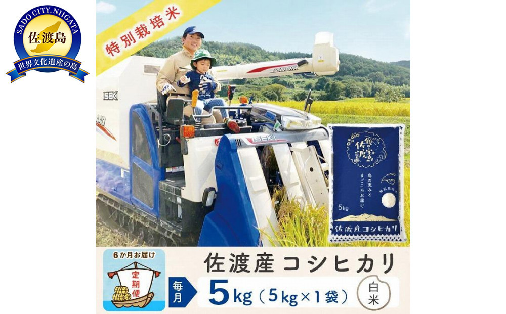 【新米予約&nbsp;6か月定期便】佐渡島産コシヒカリ&nbsp;白米5Kg&nbsp;令和7年&nbsp;特別栽培米&nbsp;農家直送