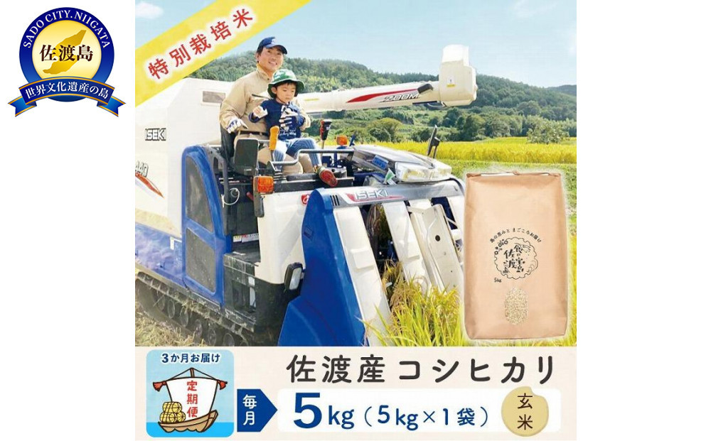 【新米予約&nbsp;3か月定期便】佐渡島産コシヒカリ&nbsp;玄米5Kg&nbsp;令和7年&nbsp;特別栽培米&nbsp;農家直送