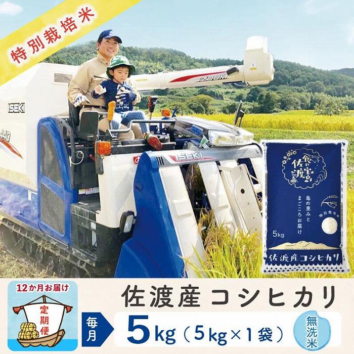 【新米】【12か月定期便】 佐渡島産コシヒカリ 無洗米5Kg 特別栽培米