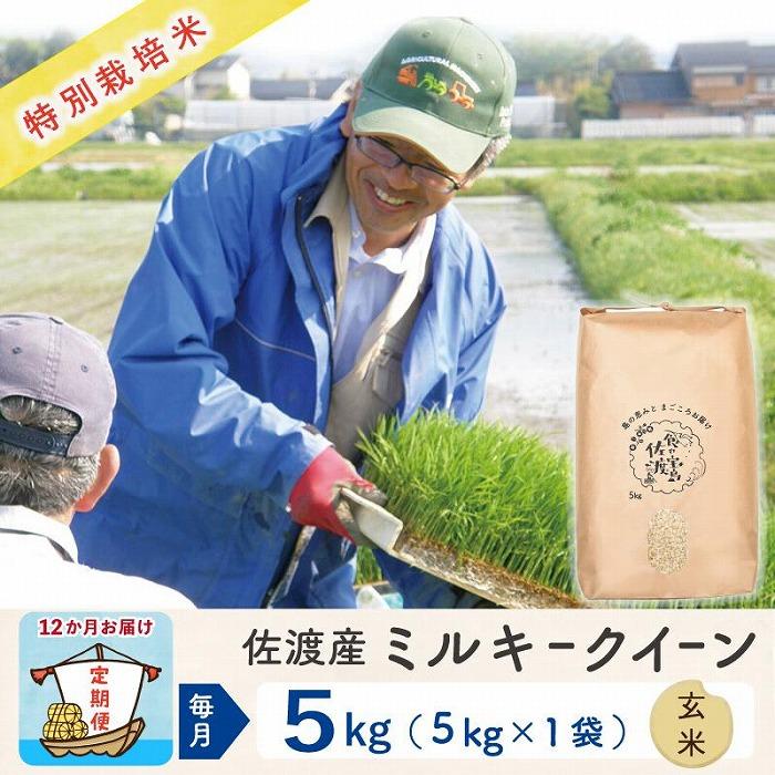 【新米】【12か月定期便】 佐渡島産ミルキークイーン 玄米5Kg 特別栽培米