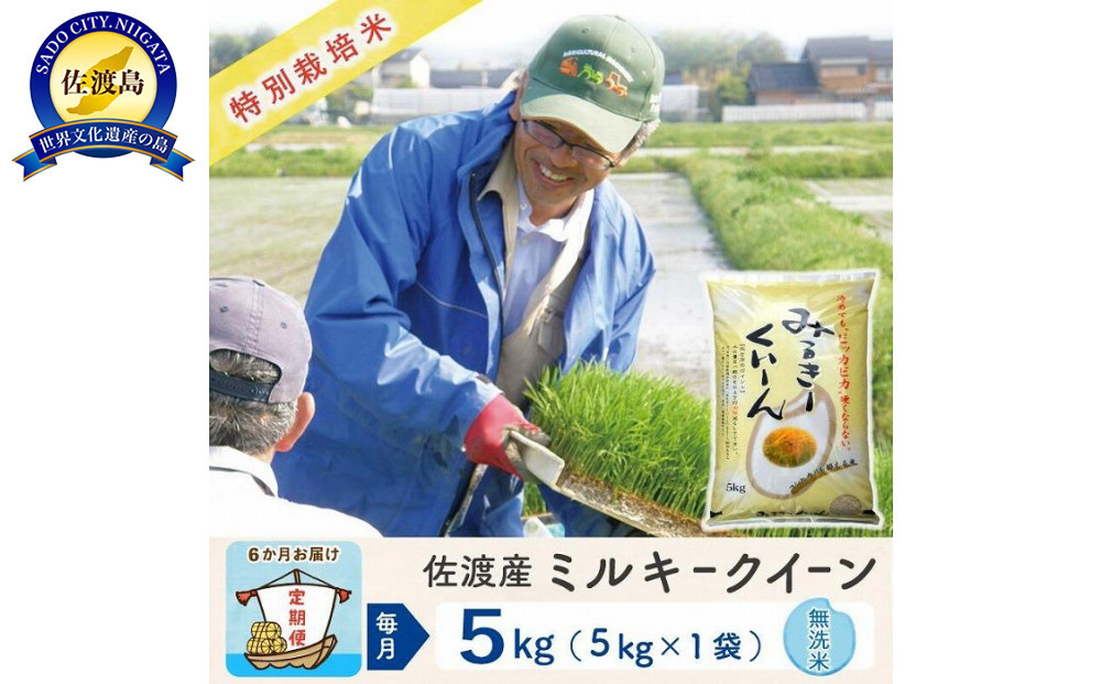 【新米予約&nbsp;6か月定期便】佐渡島産ミルキークイーン&nbsp;無洗米5Kg&nbsp;令和7年&nbsp;特別栽培米