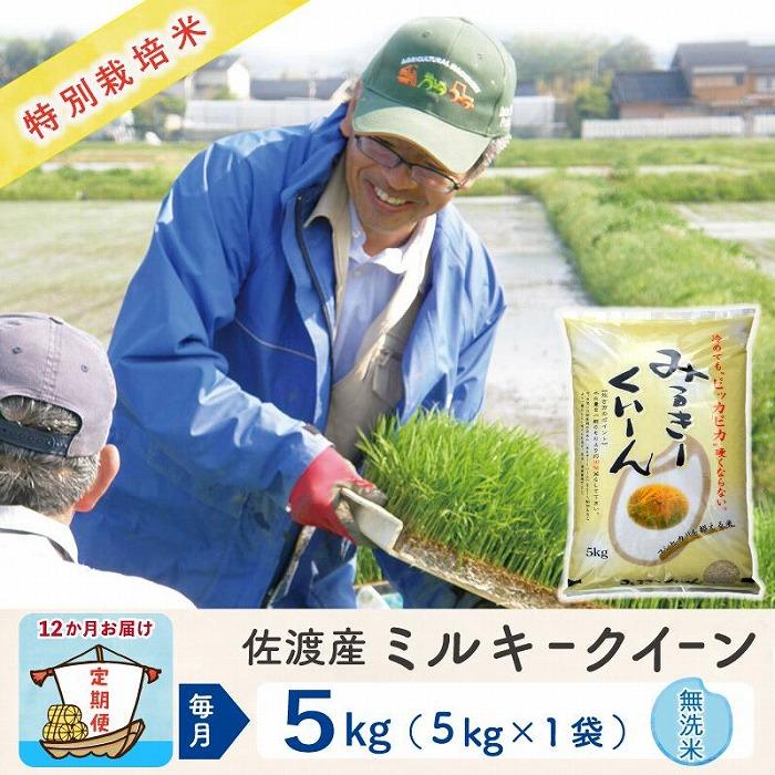 【新米・先行予約】【12か月定期便】 佐渡島産 ミルキークイーン 無洗米5Kg 特別栽培米