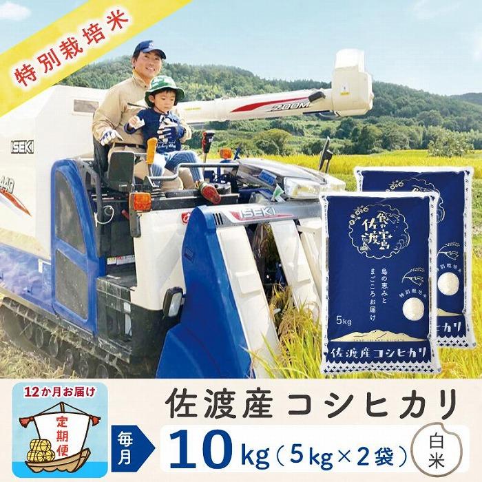 【新米】【12か月定期便】 佐渡島産コシヒカリ 白米10Kg 特別栽培米