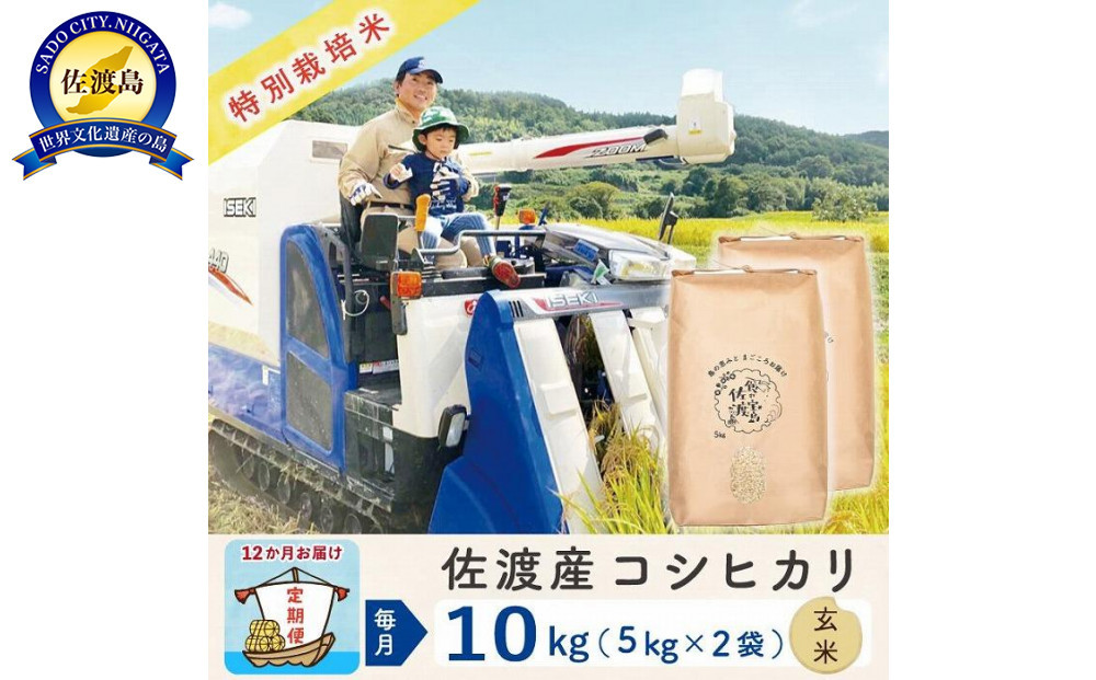 【新米】【12か月定期便】 佐渡島産コシヒカリ 玄米10Kg 特別栽培米