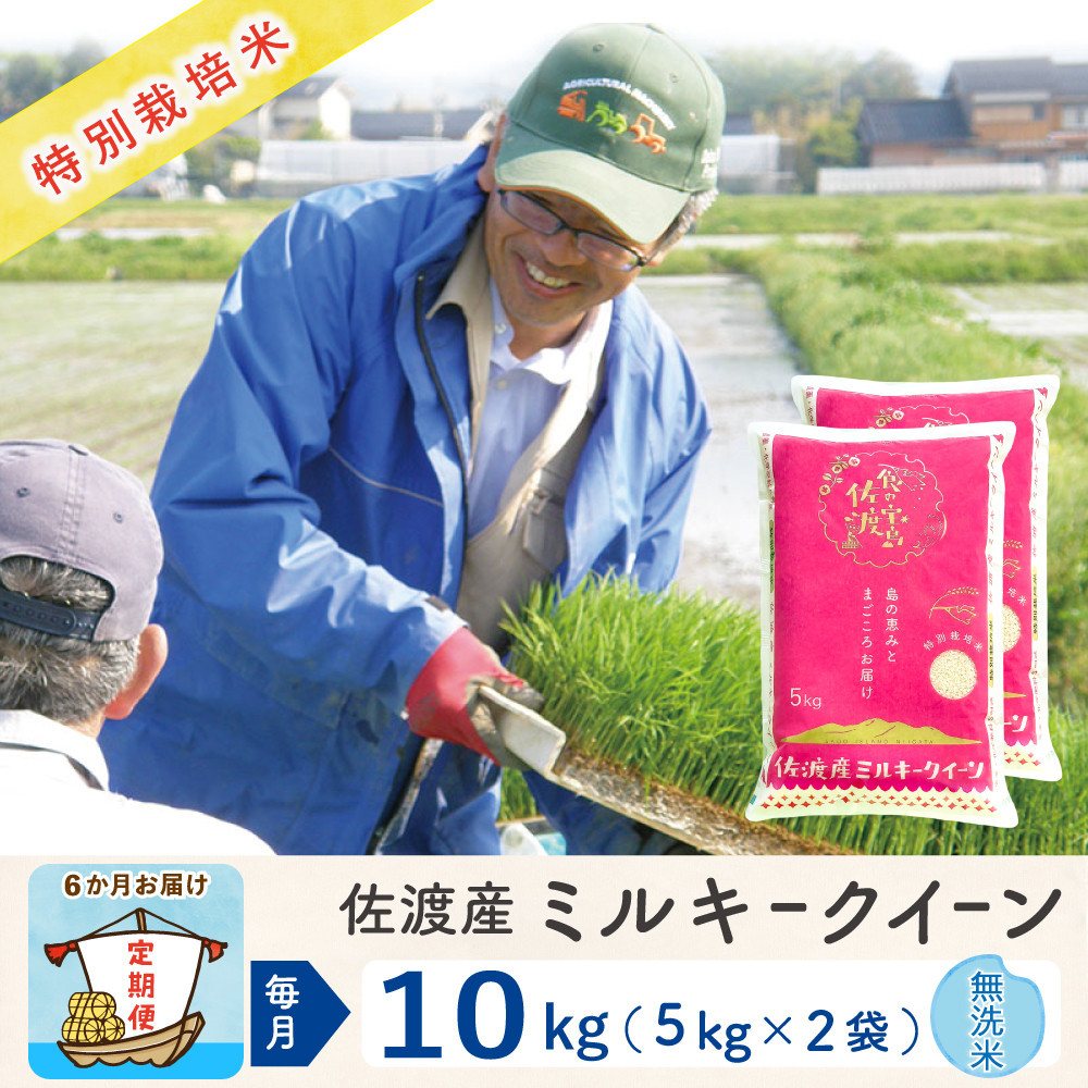 【6か月定期便】佐渡島産ミルキークイーン&nbsp;無洗米10Kg&nbsp;令和7年産&nbsp;特別栽培米