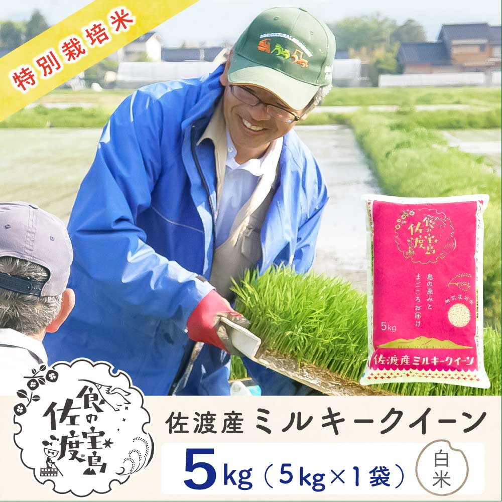 佐渡島産ミルキークイーン&nbsp;白米5Kg&nbsp;令和7年産&nbsp;特別栽培米