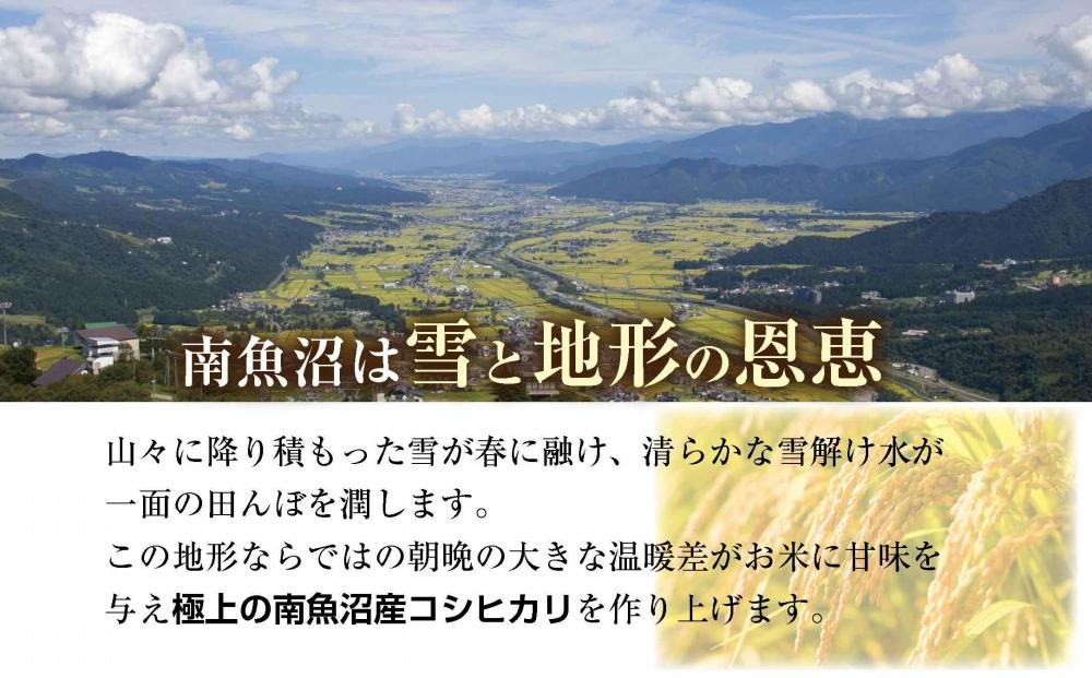 ES515 【特別栽培米】南魚沼産 コシヒカリ 5kg ×6袋 計30kg いなほ新潟 農家のこだわり 新潟県 南魚沼市 塩沢地区 しおざわ お米  こめ 白米 コメ 食品 人気 おすすめ 送料無料