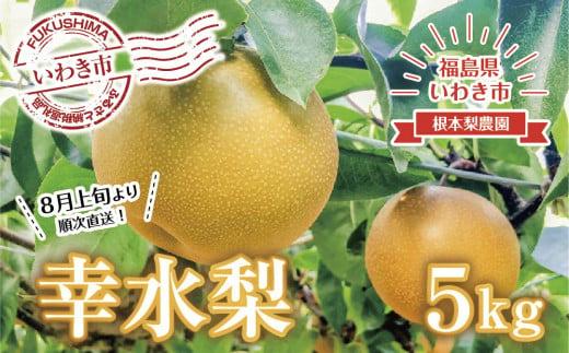 【先行予約】福島県いわき市産梨（幸水）5kg