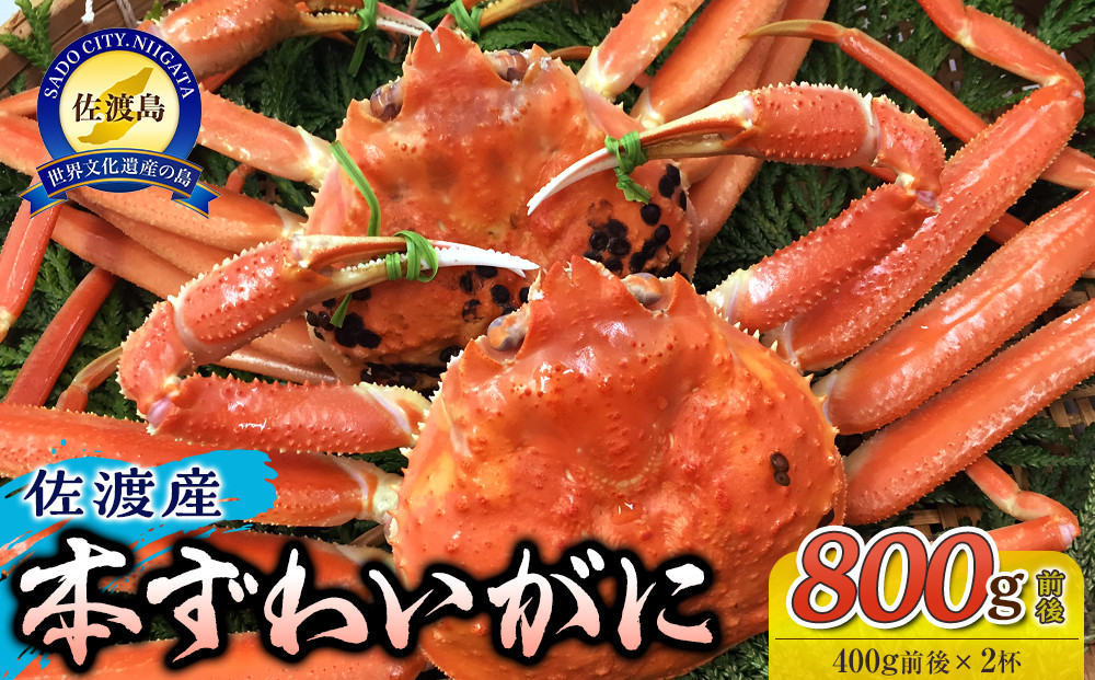 佐渡産 本ずわいがに 800g前後（400g前後×2杯）
