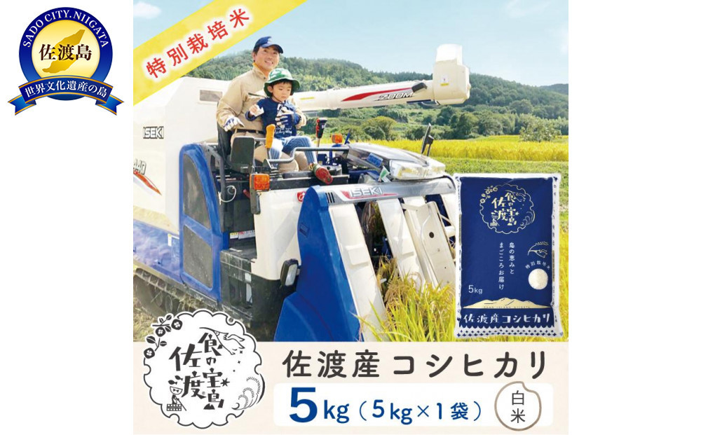 佐渡島産コシヒカリ&nbsp;白米5kg&nbsp;特別栽培米&nbsp;農家直送