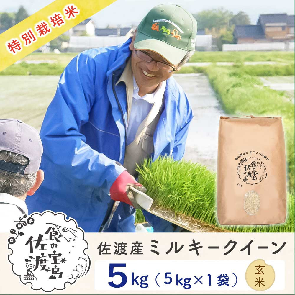 佐渡島産ミルキークイーン&nbsp;玄米5kg&nbsp;令和7年産&nbsp;特別栽培米