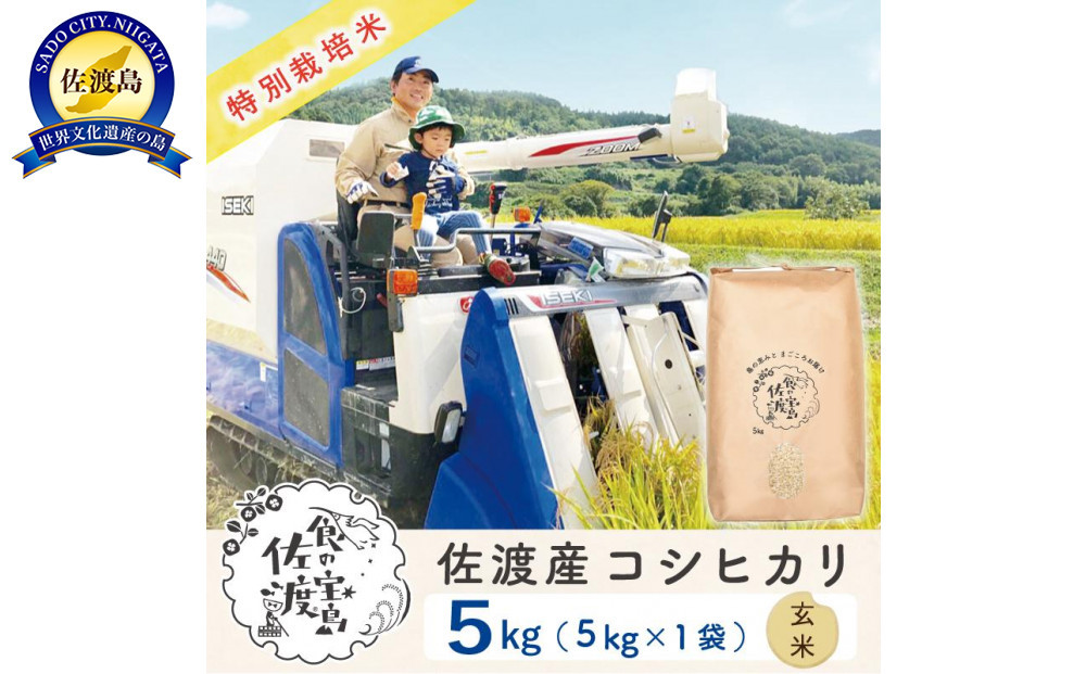 佐渡島産コシヒカリ&nbsp;玄米5kg&nbsp;特別栽培米&nbsp;農家直送