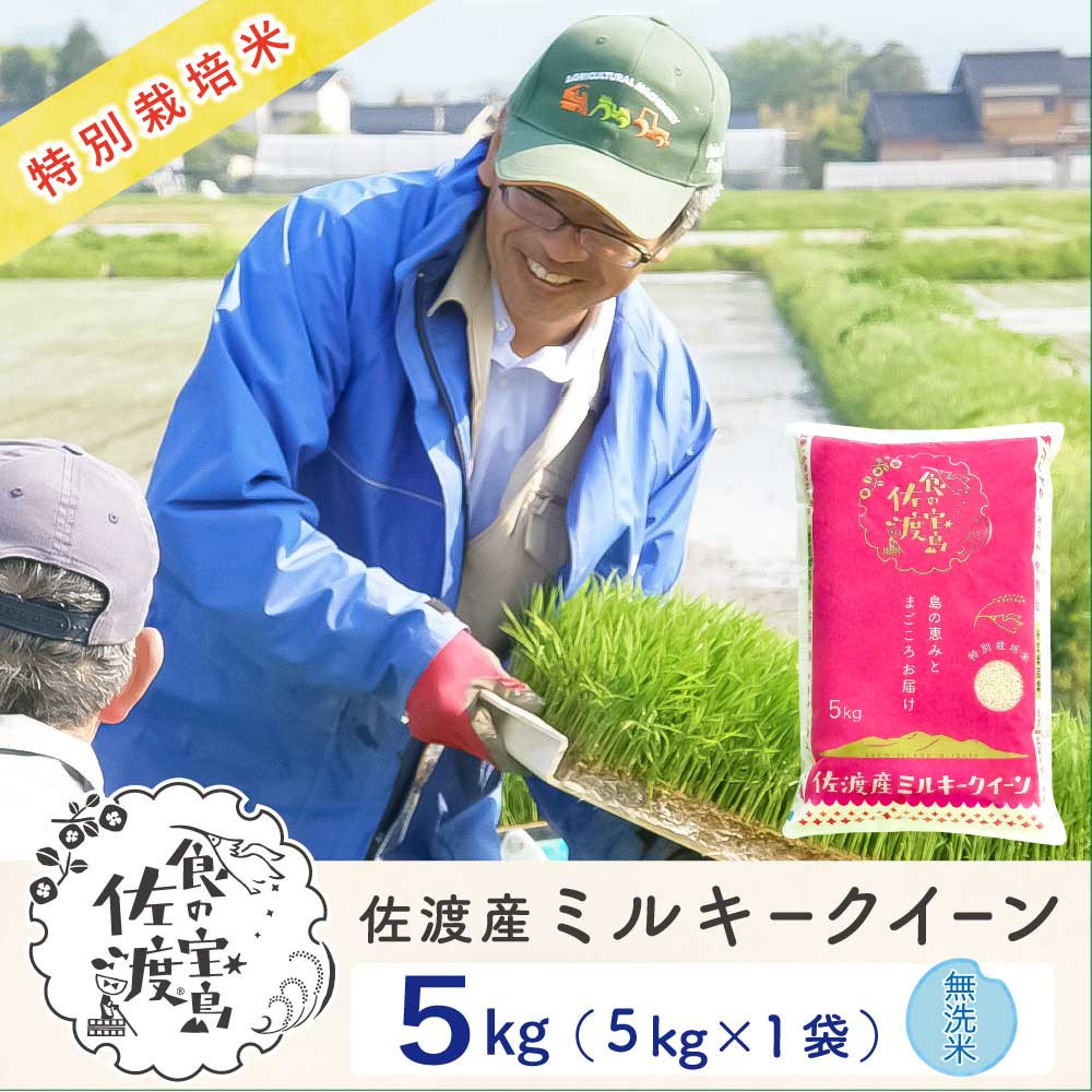 佐渡島産ミルキークイーン&nbsp;無洗米5kg&nbsp;令和7年産&nbsp;特別栽培米
