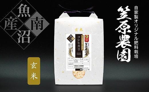 【令和6年産新米】南魚沼産 笠原農園米 十年間農薬不使用コシヒカリ玄米 2kg