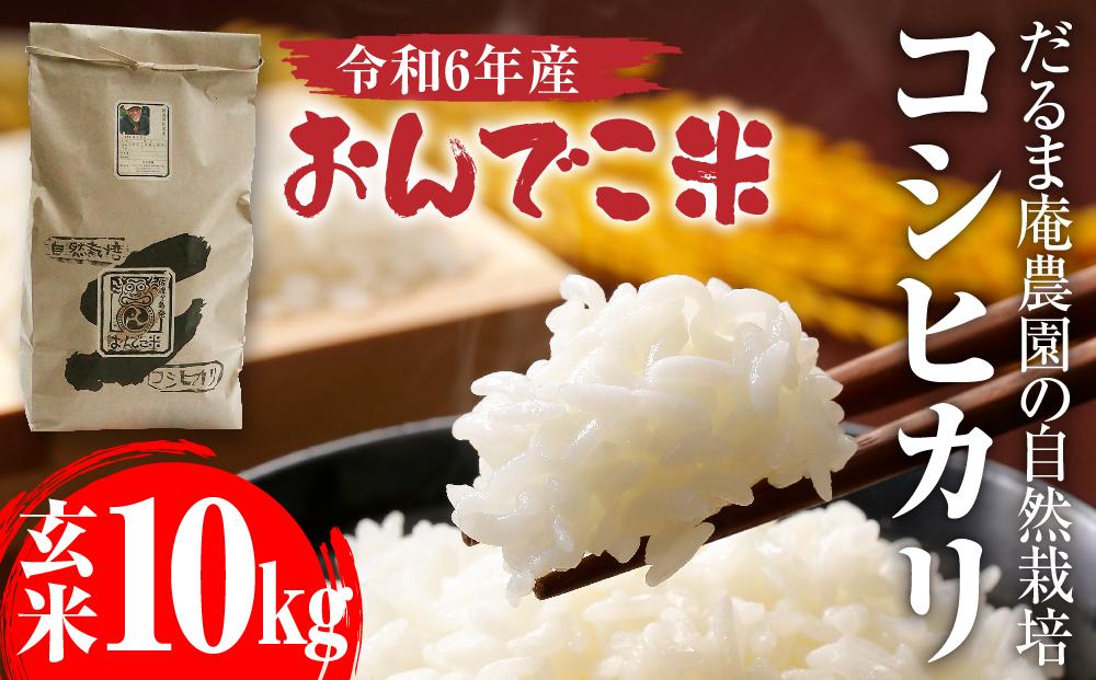 【令和6年産】だるま庵農園の自然栽培コシヒカリ玄米10キロ「おんでこ米」【2024年10月中旬より順次発送】