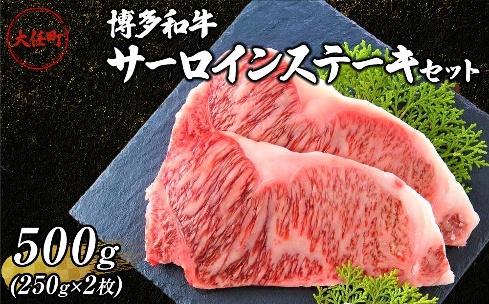 博多和牛サーロインステーキセット　500ｇ（250ｇ×2枚）【牛肉 肉 博多和牛 和牛 サーロイン ステーキ セット 500g 国産 福岡 九州 博多 送料無料 福岡県 大任町 AN021】