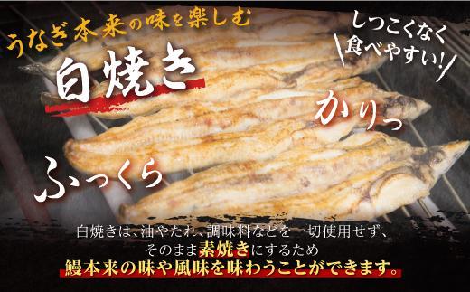 鹿児島県産うなぎカット白焼き6袋 計300g以上（パック個包装） | JTBの