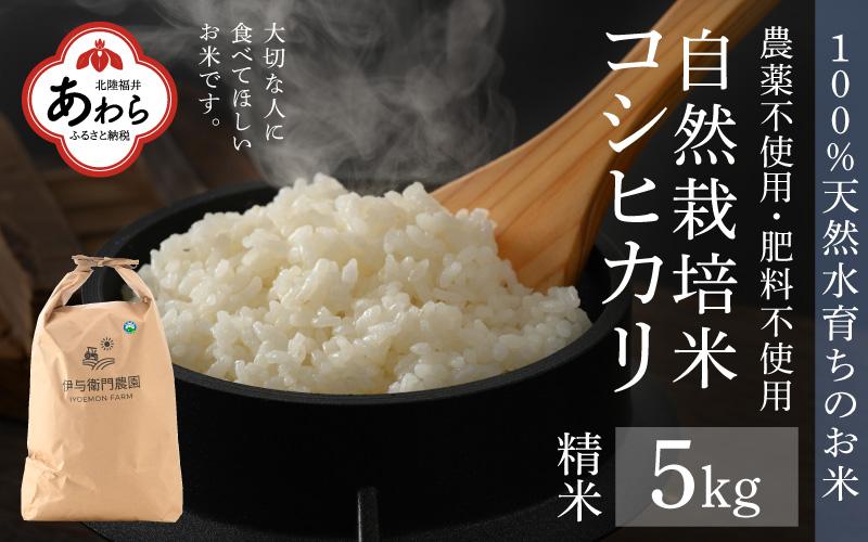 【令和6年産 新米】伊与衛門農園の自然栽培コシヒカリ精米 5kg  【福井県認証米】伊与衛門農園の特別栽培米＜温度と湿度を常時管理し新鮮米を出荷！＞ / 米 白米 自然の力 高品質 鮮度抜群 ブランド米 福井県 あわら市産 スマート農業