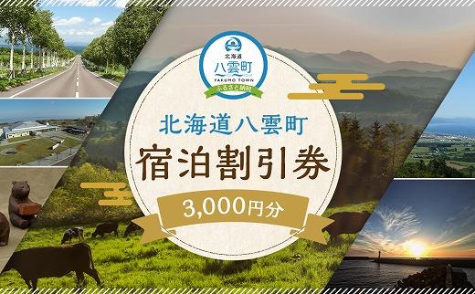 北海道八雲町　宿泊割引券3,000円分【 宿泊券 割引券 旅行 ホテル ホテルチケット 観光 宿泊 ご当地 八雲町 北海道 】