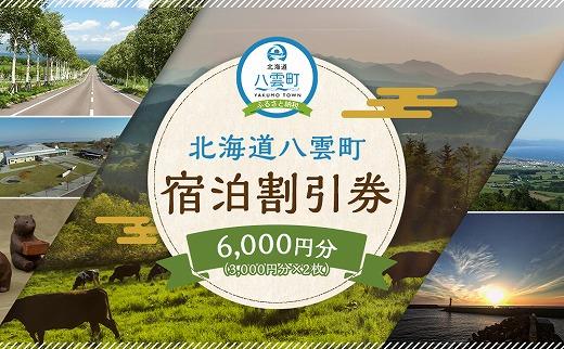 北海道八雲町　宿泊割引券3,000円分×2枚【 宿泊券 割引券 旅行 ホテル ホテルチケット 観光 宿泊 ご当地 八雲町 北海道 】