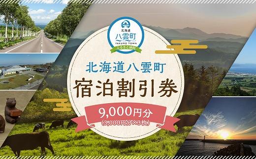 北海道八雲町　宿泊割引券3,000円分×3枚【 宿泊券 割引券 旅行 ホテル ホテルチケット 観光 宿泊 ご当地 八雲町 北海道 】