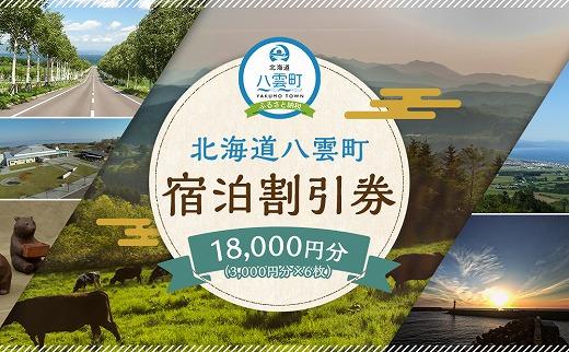 北海道八雲町　宿泊割引券3,000円分×6枚【 宿泊券 割引券 旅行 ホテル ホテルチケット 観光 宿泊 ご当地 八雲町 北海道 】