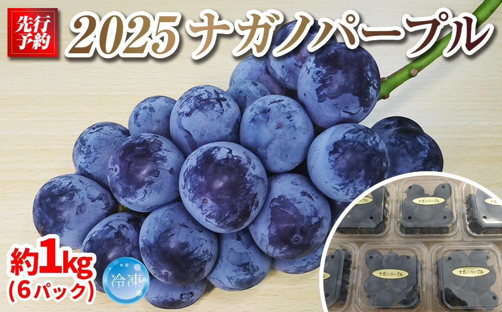 【先行予約】2025　P冷　ナガノパープル　冷凍粒採り6パック　約1キロ　【10月初旬頃～順次発送予定】　長野県産　国際特許有機肥料栽培｜&nbsp;果物&nbsp;ぶどう&nbsp;フルーツ&nbsp;&nbsp;ブドウ&nbsp;高糖度&nbsp;種なし&nbsp;&nbsp;人気&nbsp;おすすめ&nbsp;葡萄&nbsp;ギフト&nbsp;送料無料&nbsp;長野県&nbsp;大町市