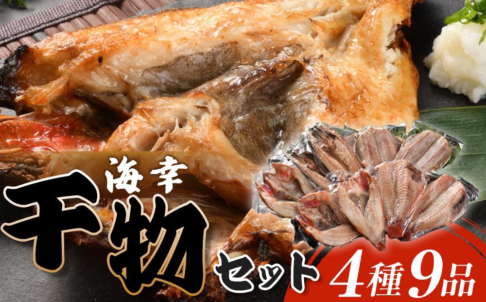 海幸　干物セット4種9品