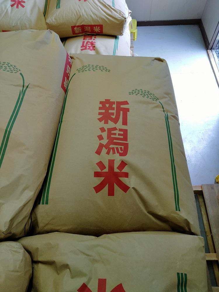 【玄米】令和5年産佐渡産　越のかおり30kg　特別栽培低温工法米