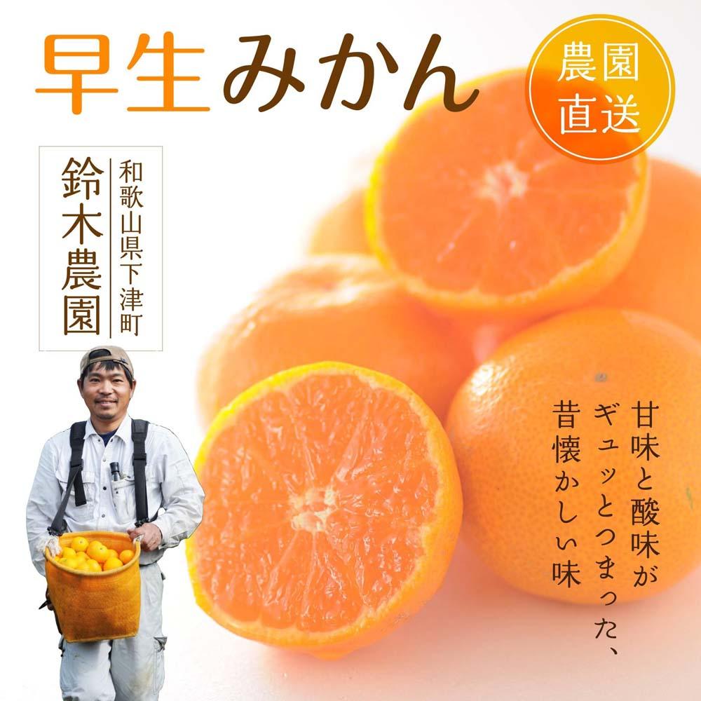 早生みかん5kg入り　鈴木農園から農園直送！【北海道・沖縄・一　JTBのふるさと納税サイト　S・M・Lいずれかのサイズ　部離島への配送不可】【発送時期：2023年11月中旬頃～2024年1月中旬頃】　[ふるぽ]