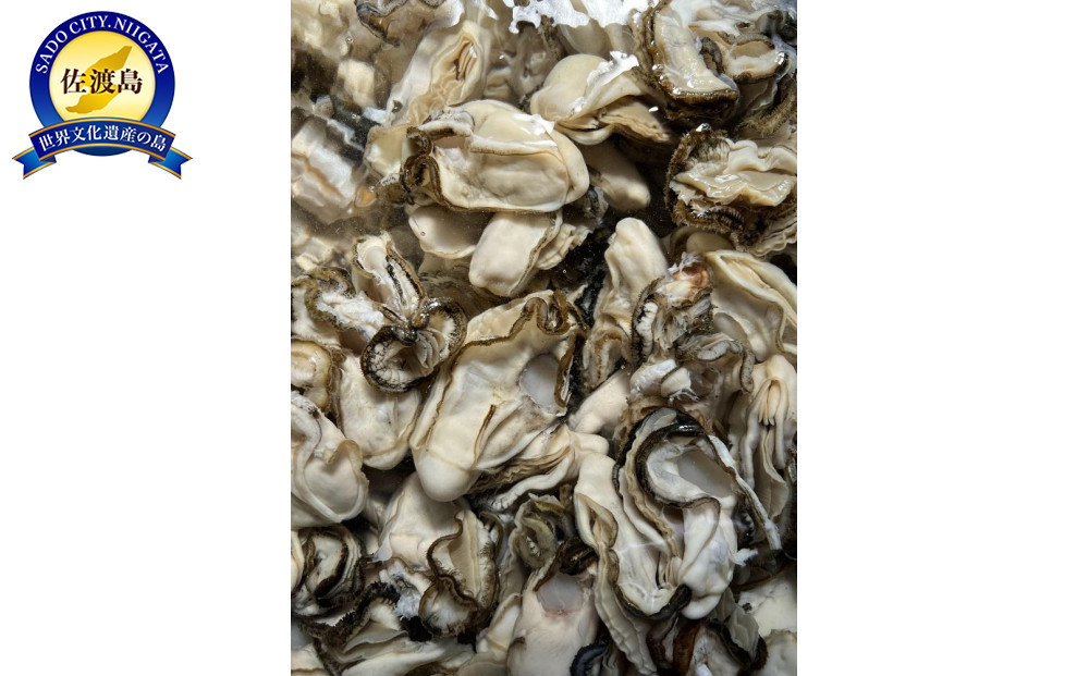 【佐渡加茂湖産】牡蠣むき身500ｇ×２袋