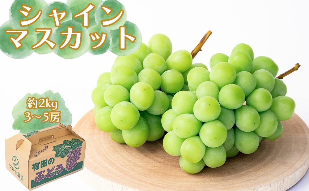 シャインマスカット&nbsp;約2kg（3～5房）